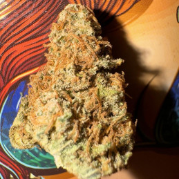 Bruce Banner 3