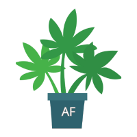Graines de Cannabis Autofloraison