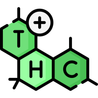 Variétés de Cannabis avec un Taux Élevé de THC