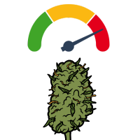 Variétés de cannabis les plus puissantes
