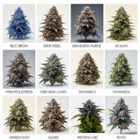 Variétés de cannabis