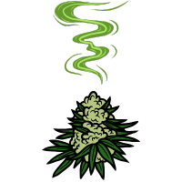 Variétés de cannabis à faible odeur