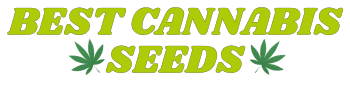 BestCannabisSeeds.fr