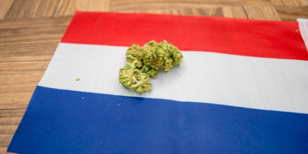 Quels sont les prix du cannabis aux Pays-Bas